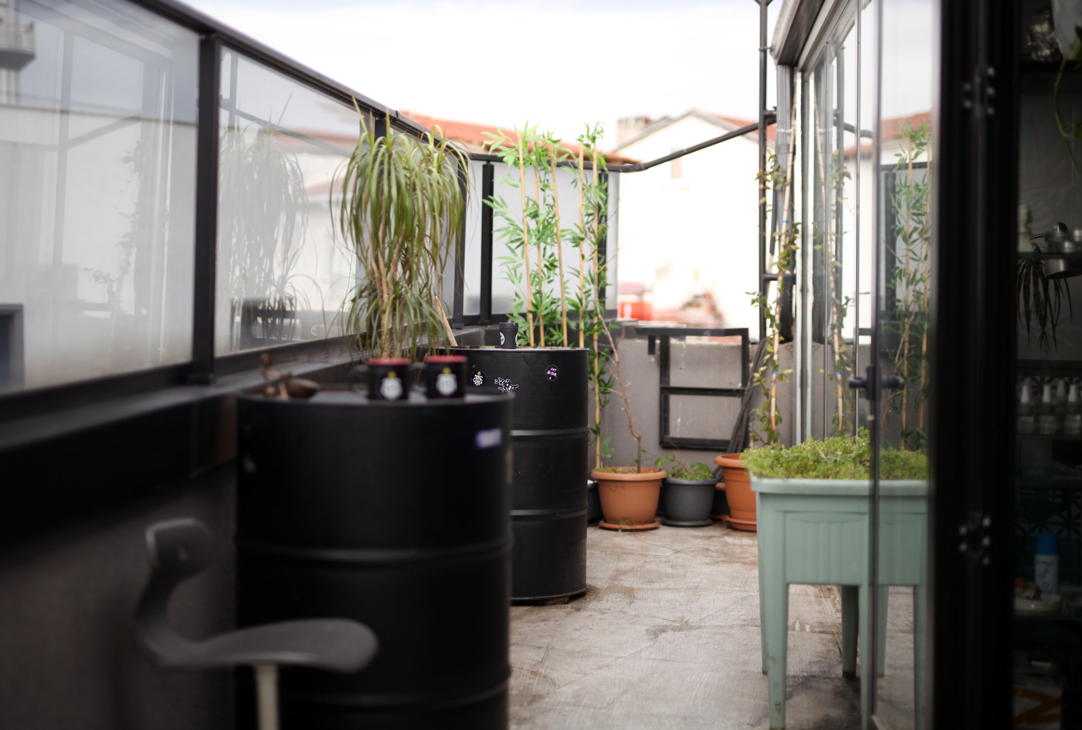 Roof Tattoo Gallery Official  Page